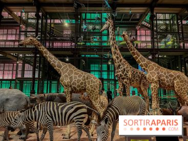 Grande Galerie de l'évolution- visuels 2024 - image00073