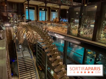 Grande Galerie de l'évolution- visuels 2024 - image00076