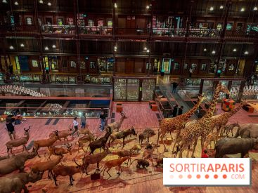 Grande Galerie de l'évolution- visuels 2024 - image00028