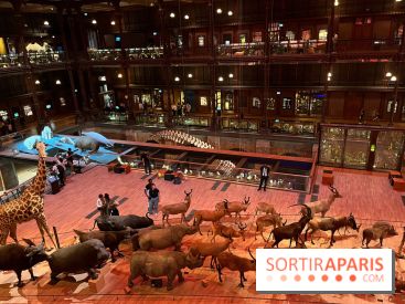 Grande Galerie de l'évolution- visuels 2024 - image00033