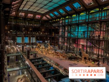 Grande Galerie de l'évolution- visuels 2024 - image00002