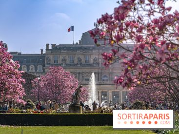 Les magnolias du Jardin du Palais Royal  - printemps - visuel Paris