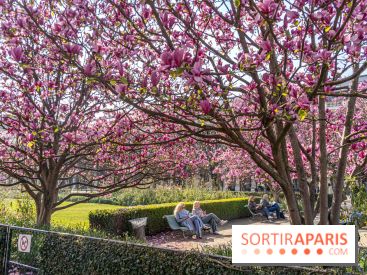 Les magnolias du Jardin du Palais Royal  - printemps - visuel Paris