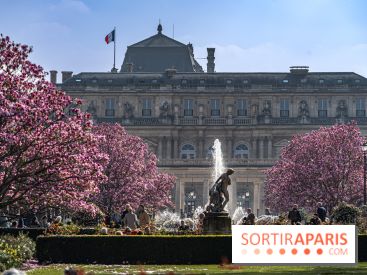 Les magnolias du Jardin du Palais Royal  - printemps - visuel Paris