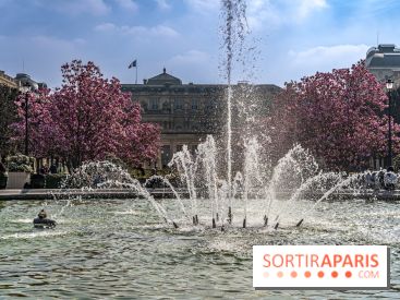 Les magnolias du Jardin du Palais Royal  - printemps - visuel Paris - fontaine - chaleur - beau temps