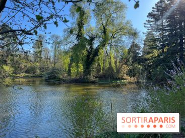 Lac de Saint-Mandé - nos photos - WhatsApp Image 2024 03 22 à 16.12.39 4c5a0a5e