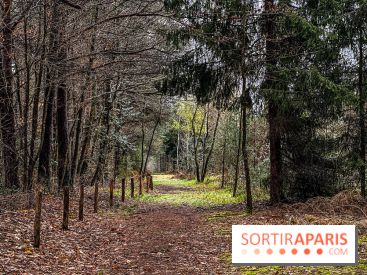 Arbor&Sens, l'Arboretum de Franchard en forêt de Fontainebleau - les photos