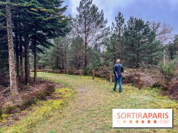 Arbor&Sens, l'Arboretum de Franchard en forêt de Fontainebleau - les photos
