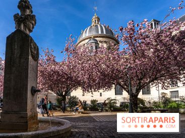 Square Gabriel Pierné à Paris - cerisiers en fleurs
