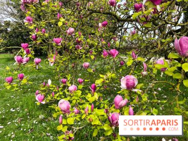 Jardin de l'Ecole du Breuil - nos photos - image00014