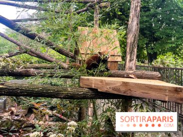 Ménagerie du Jardin des Plantes 2024 - nos photos - image00012