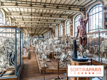 La Galerie de Paléontologie et d'Anatomie comparée du Muséum au Jardin des Plantes -  A7C7488