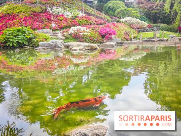 Natures vivantes : l'exposition photo qui met à l'honneur les jardins du musée Albert Kahn - photos - IMG20240429154837