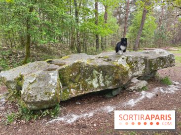 Dolmen de la Pierre Ardoue - IMG 0985