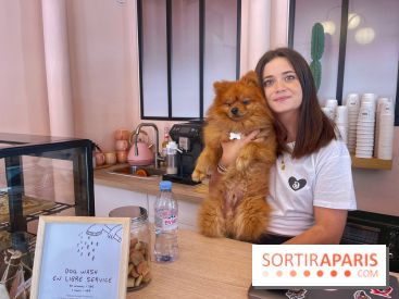 Casa del Doggo - IMG 1633