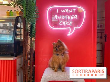 Casa del Doggo - IMG 1642