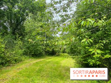 Arboretum de la Roche-Guyon - nos photos - image00002