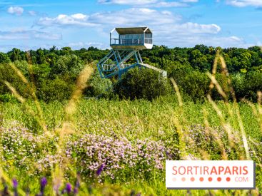 Le Parc du peuple de l'herbe dans les Yvelines - Étang de Galiotte - Carrières-sous-Poissy