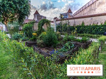 Le Château de Blandy-les-Tours en Seine-et-Marne (77), nos photos -  A7C7993