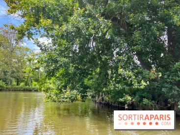 Domaine de Chamarande - nos photos - image00007