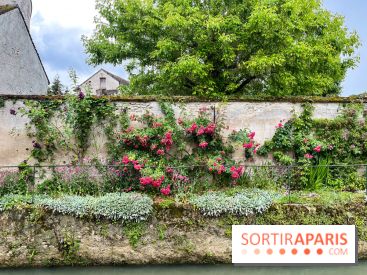 Crécy-la-Chappelle - nos photos - image00056