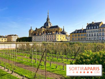Les Saveurs du Potager du Roi à Versailles : marché de fruits & légumes, expositions et animations - image00055