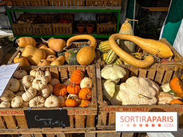 Les Saveurs du Potager du Roi à Versailles : marché de fruits & légumes, expositions et animations