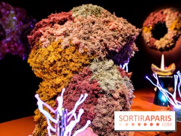 “Forêts astrales” : nos photos de l'exposition gratuite à voir à l'Institut suédois à Paris