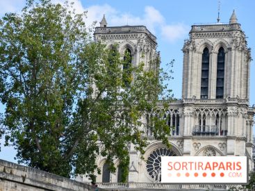 Une croisière privée en amoureux sur la Seine - DSC 2252