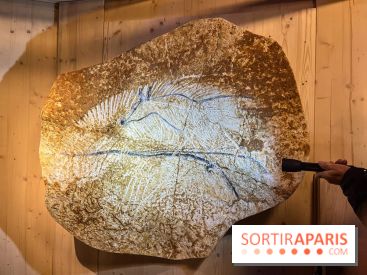 La Grotte Chauvet à la Cité des Sciences, nos photos  - image00005