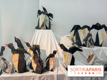 La faune en plis - nos photos