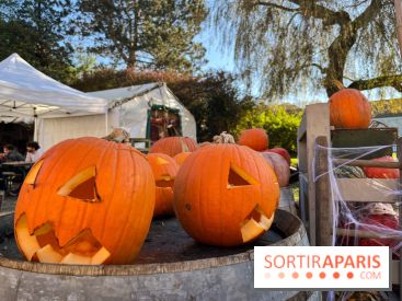 La Fête de la Citrouille - nos photos - image00017