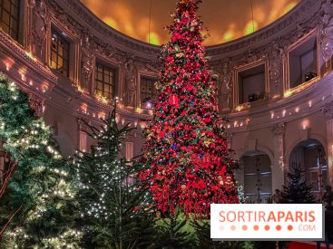 Noël 2024 au Château de Vaux-le-Vicomte : une expérience magique avec une patinoire