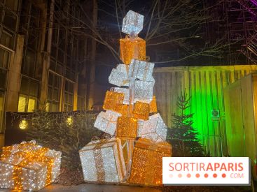 Bel Hiver Saint-Denis 2024 - nos photos - image00017