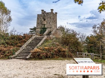 Randonnée à Fontainebleau : le sentier sur les pas de Denecourt jusqu’à la Tour Denecourt -  A7C7603