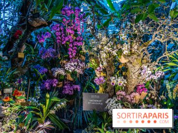 Mille et une orchidées 2025 - les photos