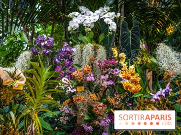 Mille et une orchidées 2025 - les photos