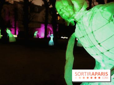 Exposition Silva Lumina au Centre Culturel Irlandais  - Silva Lumina 12