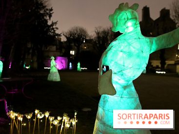 Exposition Silva Lumina au Centre Culturel Irlandais  - Silva Lumina 14