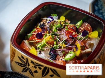 Hokusai - restaurant japonais fusion - Paris 16e - les photos  - chirashi