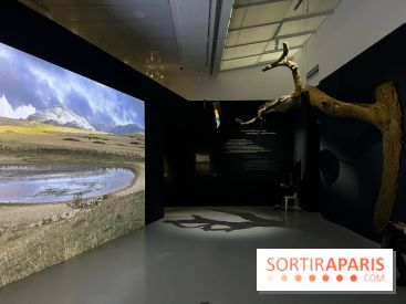 Paysages mouvants - IMG 8730