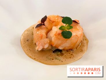 Episodes - Langoustine, céleri, bergamote