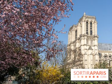 Le Square Viviani devant Notre-Dame de Paris