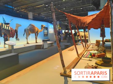 Déserts : l'exposition scientifique se dévoile au Muséum d'Histoire naturelle de Paris