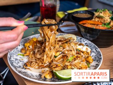 Buja restaurant végétarien thaï et Viet Paris 13e - photos - pad thai