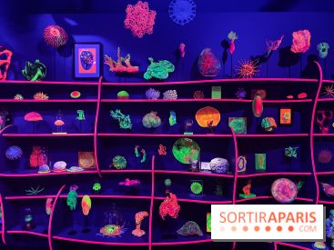 Digital Abysses au musée en Herbe - nos photos - 0129F15A 5778 46C1 BB45 E8B6ED6C3104