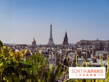 Rooftop de Dame des Arts, la terrasse panoramique sur les toits de Paris - photos  - A7C06281