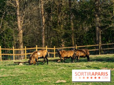 La Ferme de l’Abbaye des Vaux de Cernay : l'hôtel de charme en pleine nature dans les Yvelines - photos