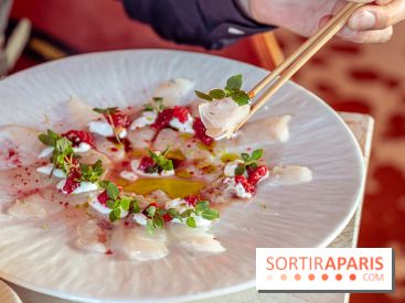 Kinugawa Rive Gauche à Paris, le restaurant en rooftop de l'Hôtel Sax - photos