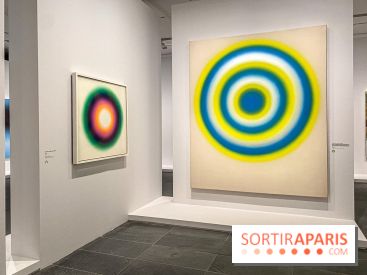 Dans le Flou, l'exposition dans le brouillard au Musée de l'Orangerie - IMG 5299